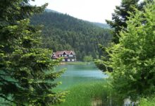 Bolu'da Ormanlara Giriş Yasaklandı! – 2024