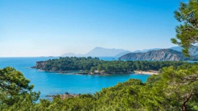 Antalya'da Ormanlık Alanlara Giriş Yasaklandı! - 2025
