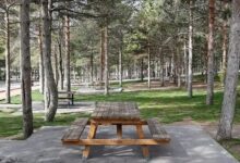Hatay'da Ormanlık Alanlara Giriş Yasaklandı! – 2025