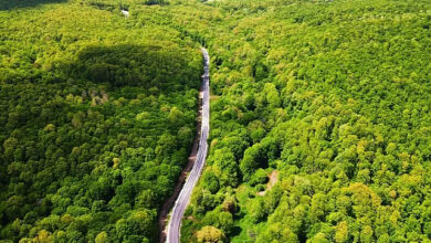 Kırklareli'de Ormanlık Alanlara Giriş Yasaklandı! – 2025