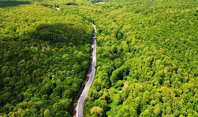 Kırklareli'de Ormanlık Alanlara Giriş Yasaklandı! – 2025 1 Kırklareli'de Ormanlık Alanlara Giriş Yasaklandı! – 2025