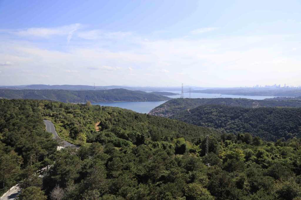 İstanbul’da Ormanlara Giriş Yasaklandı! – 2025 1 İstanbul’da Ormanlara Giriş Yasaklandı! – 2025